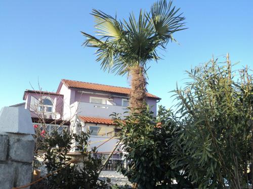 a palm tree in front of a building at Villa Lory Krk in Krk