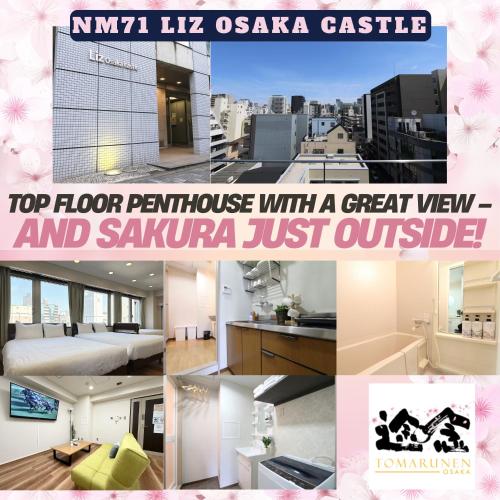 NM71 Liz Osaka Castle