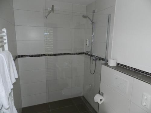 a shower with a glass door in a bathroom at Weingut Stassen in Oberheimbach