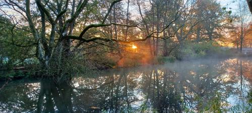 a misty river with trees and the sun in the background at Wassermühle Stemmen in Kirchlinteln