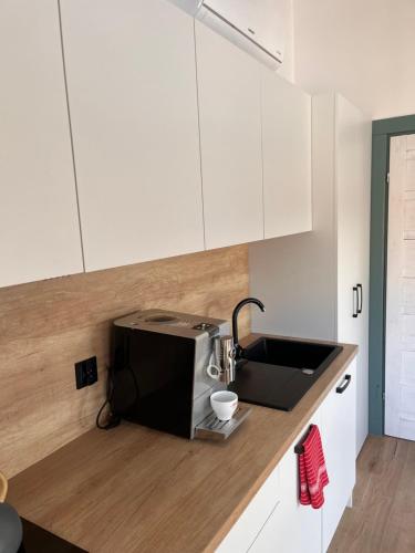 a kitchen with a sink and a microwave at Leśne Domki Premium in Prokowo