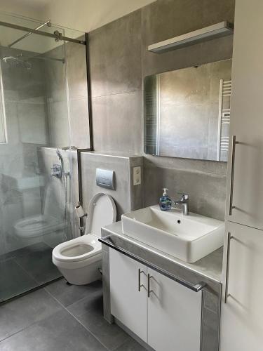 a bathroom with a toilet and a sink and a mirror at Oikos Olympos in Ágios Spyrídon