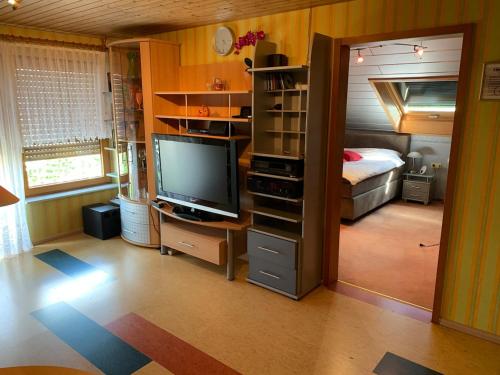 TV a/nebo společenská místnost v ubytování klimatisiere Dachwohnung in Weinsberg-Gellmersbach