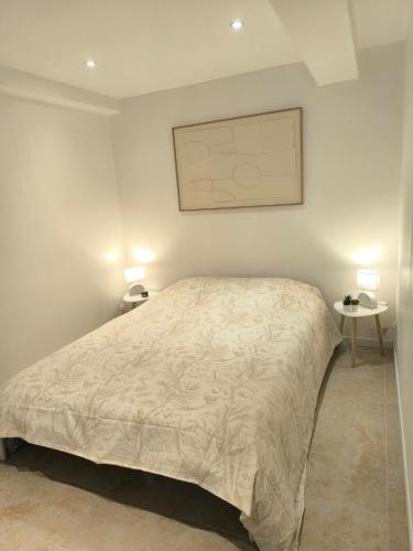 a bedroom with a bed and two tables with lamps at Appartement avec une chambre et tout équipé dans centre ville in Montélimar
