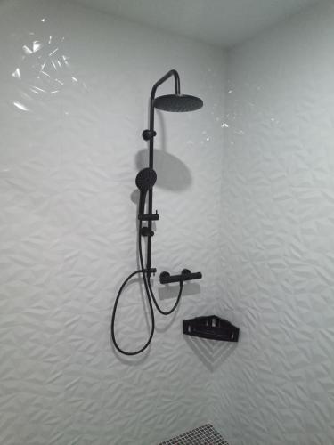 a shower with a shower head in a bathroom at Apartamento Casa Vega in Bueu