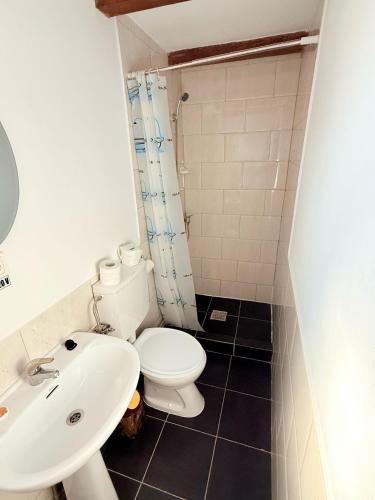 a bathroom with a white toilet and a sink at Gospodaria Klaus in Rozavlea