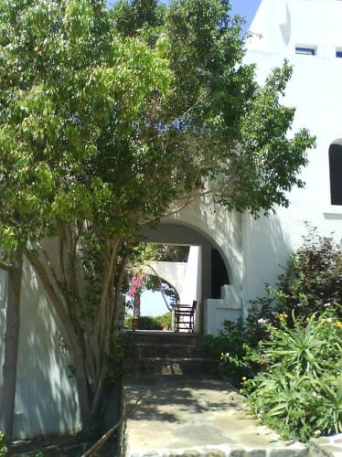 a tree in front of a white building with a bench at Apaggio Apartments in Katapola