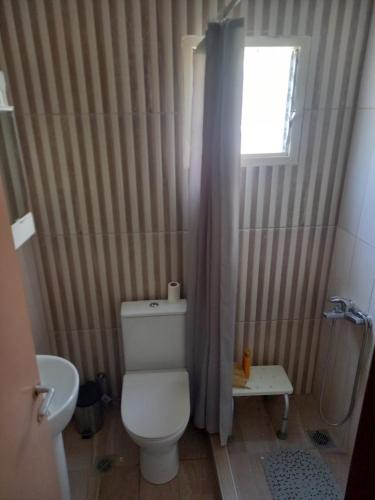 a bathroom with a white toilet and a window at Bamboo garden in Nea Iraklia
