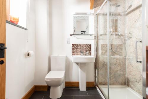 a bathroom with a toilet and a shower at Linhay at East Trenean Farm -Luxury retreat for 2 with stunning rural views, private hot tub and EV charging in Looe