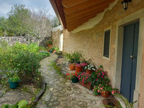 a garden with potted plants on the side of a house at Casa Hozani in Albarrol