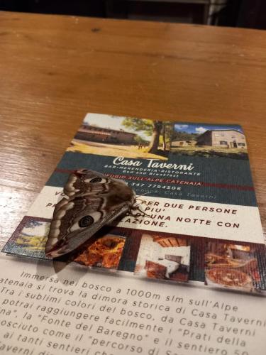 a book with a piece of chocolate on a table at casa al taverni in Falciano