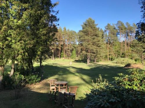 a table and chairs in a field with trees at Waldoase 1 in Rheinsberg