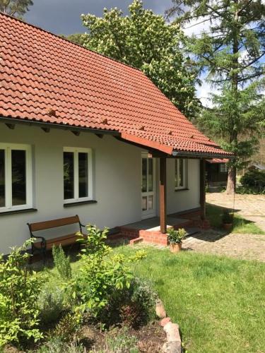 a white house with an orange roof and a bench at Waldoase 1 in Rheinsberg