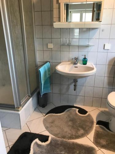 a bathroom with a sink and a toilet and a rug at Waldoase 1 in Rheinsberg