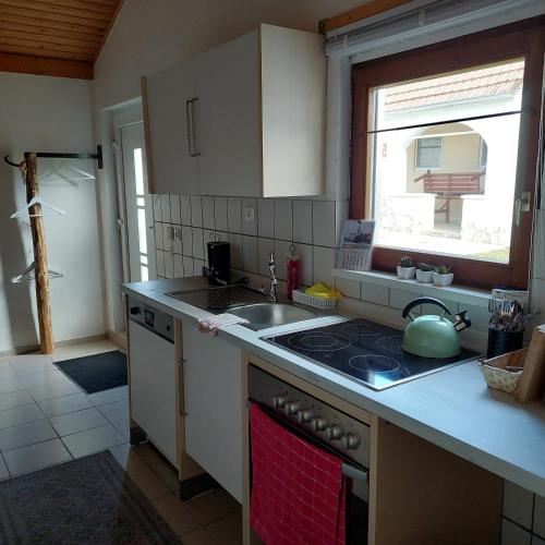 a kitchen with a sink and a stove top oven at Jägerlodge in Lócs