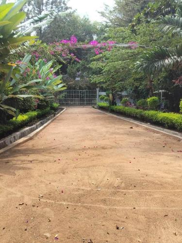 a dirt road in a garden with pink flowers at Botanic Hideaway Home, 5km from Mwanza airport in Mwanza