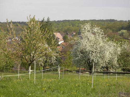 a fence in a field with trees and houses at Sonnige Südwohnung mit Terrasse, Badesee in Forchtenberg