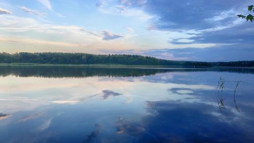 a large body of water with trees in the background at Südzimmer 1 SO in Lärz