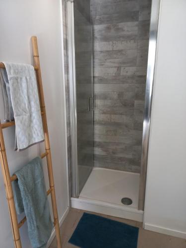 une douche avec une porte vitrée dans une salle de bain dans l'établissement Large studio near medieval city, à Carcassonne