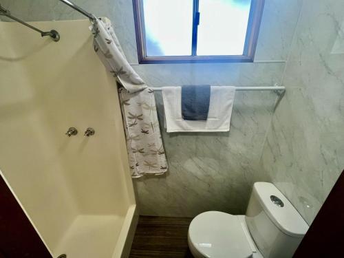 a bathroom with a toilet and a shower and a window at Young Caravan and Tourist Park in Young