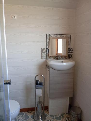 une salle de bain avec un lavabo et un miroir et des toilettes dans l'établissement Roulotte Pilim Pikou, à Ranton