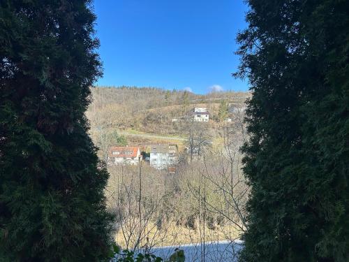 a house on top of a hill between two trees at Fischbacher Waldidyll in Bad Schwalbach