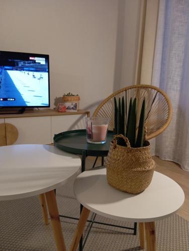 un salon avec une table et une chaise avec une plante dans l'établissement Véronique et David, à Vichy