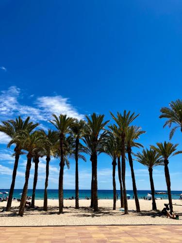 a row of palm trees on the beach at Casa Noyas Oasis Beach in Guardamar del Segura