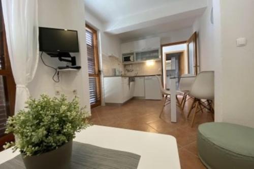 Televízia a/alebo spoločenská miestnosť v ubytovaní Apartment 1