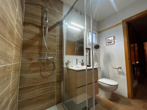 a bathroom with a shower and a toilet and a sink at The Escorial House in El Escorial