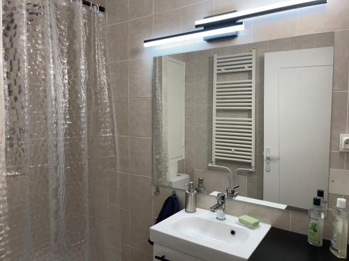 une salle de bain avec un lavabo et une douche avec un miroir dans l'établissement T2 Joliette, à Marseille