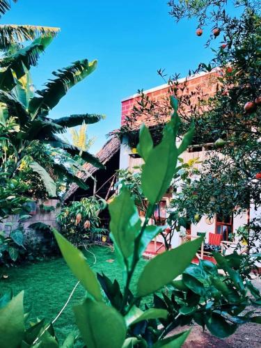 a view of a building from the garden at Arusha Jua Eco Home- on coffee farm in Arusha