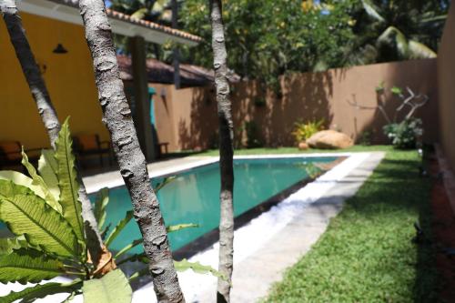 a swimming pool in a yard with trees at Kurumba Villas in Bentota