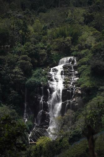 a waterfall in the middle of a forest at Blooming Rose Ella in Ella