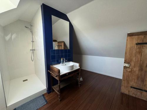 ein Badezimmer mit Waschbecken und Spiegel in der Unterkunft Gîte du Moulinet in Chézy-sur-Marne