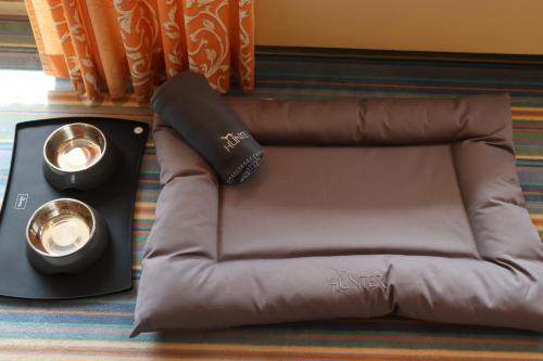 a brown bean bag chair with an umbrella and a speaker at Ringhotel Mönch`s Waldhotel in Unterreichenbach