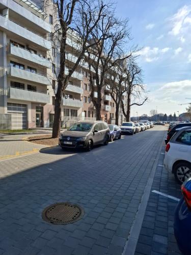 a row of cars parked on the side of a street at Santova Apartments Olomouc in Olomouc