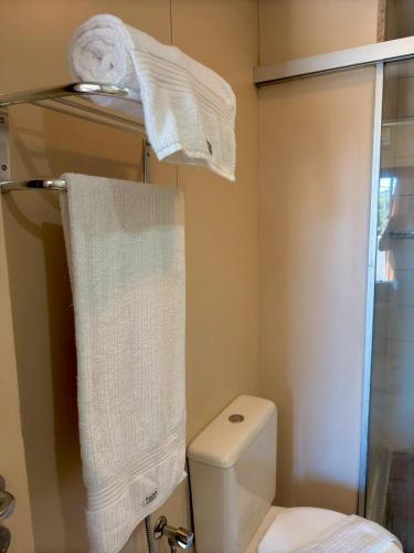 a bathroom with a toilet and towels on a rack at Studio pé na areia, vista, internet e ar in Macaé