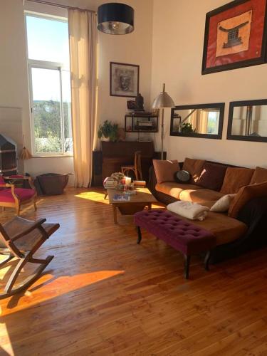 maison en bois en bord d'Herault