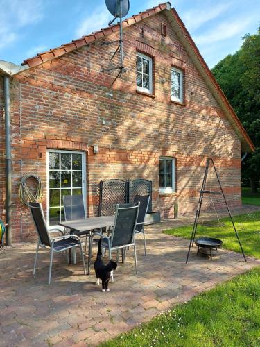 a black cat standing next to a table and chairs at Großes Meer in Ihlow