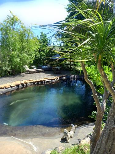 a pool of water with a palm tree at Porcupine Hills Olive and Guest Farm in Botrivier