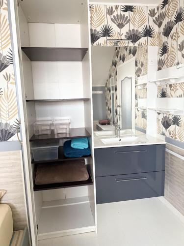 une salle de bain avec un lavabo et un miroir dans l'établissement Les clés angevines Chambre numéro 7, à Angers