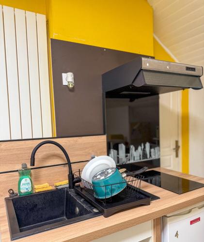 - un comptoir de cuisine avec évier et bol dans l'établissement Les clés angevines Chambre numéro 7, à Angers