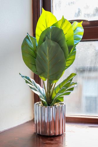 a metal vase with a plant in it on a table at Prime location rooms in high street in Fort William