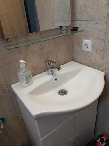 a bathroom sink with a bottle of soap on it at Alesia C in Ocna-Mureşului
