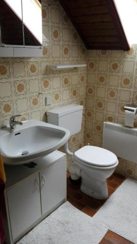 a bathroom with a toilet and a sink at Ferienhaus Roman in Farnau