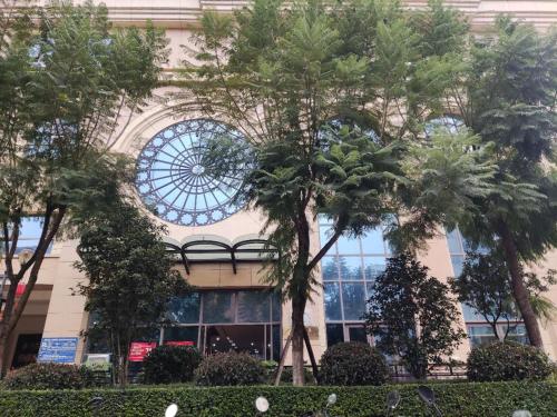 a building with palm trees in front of it at Smart Ruoqi B&B in Kunming