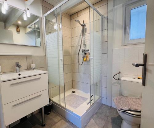 un bagno con doccia e WC di Appartement Le Cosy de La Ramée a Tournefeuille