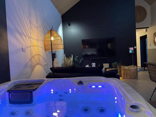 a tub in a living room with a couch and a tv at Ô voda in Waremme