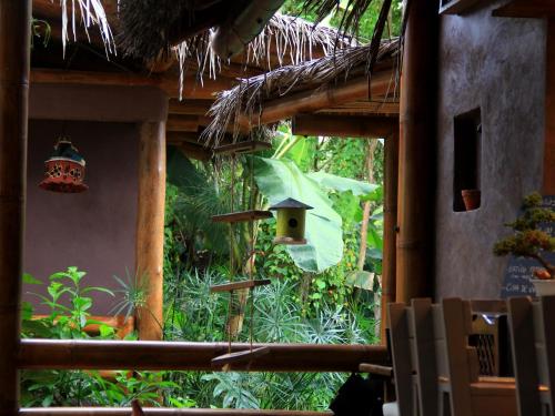 a window view of a garden with a bird house at La Bicok EcoLodge in Mindo